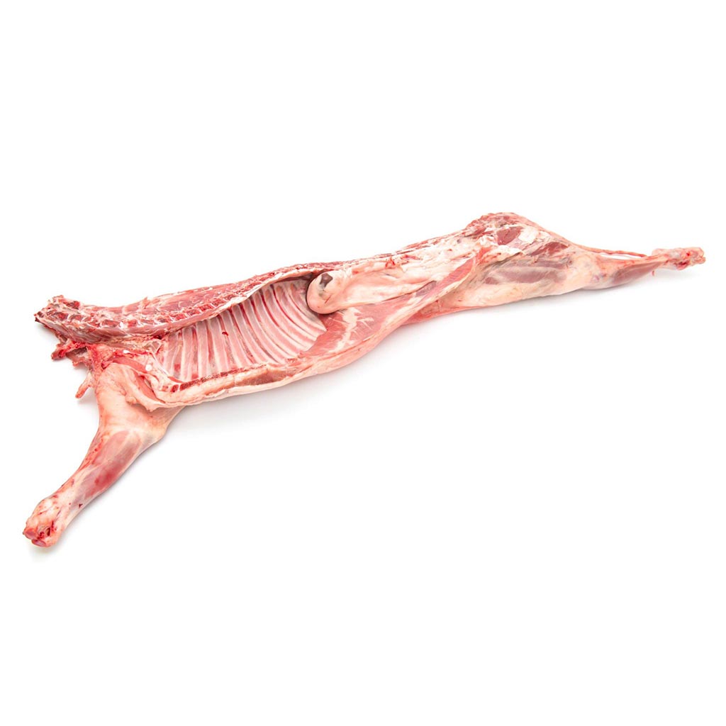 Half-Lamb