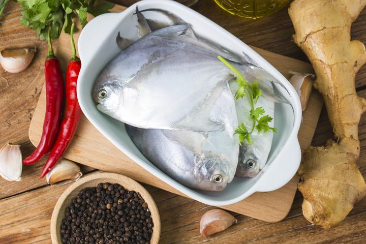 SilverPomfret_WeGotMeat